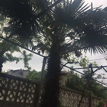 In 招待所 *